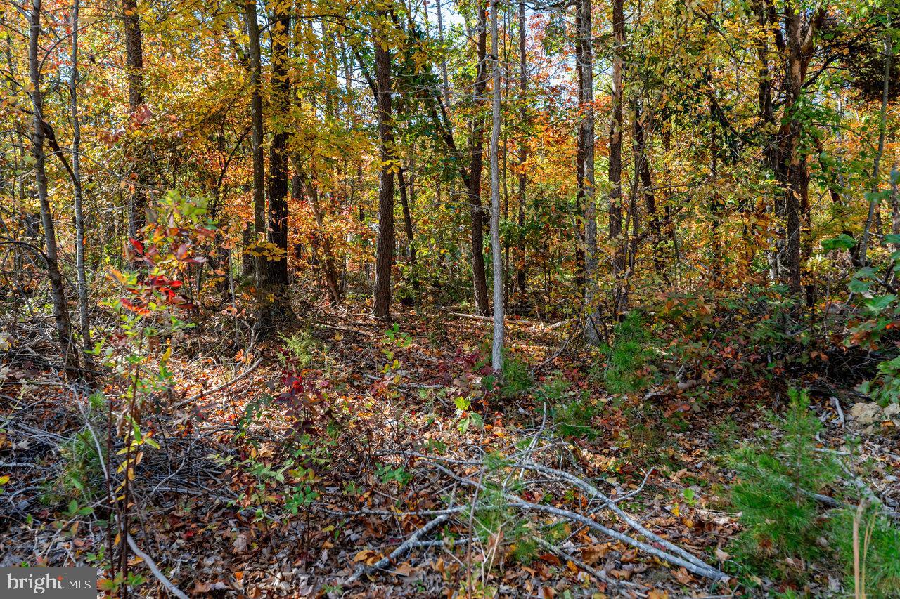 333 WHIPPOORWILL LN, LURAY, Virginia 22835, 2 Bedrooms Bedrooms, 9 Rooms Rooms,2 BathroomsBathrooms,Residential,For sale,333 WHIPPOORWILL LN,VAPA2005350 MLS # VAPA2005350