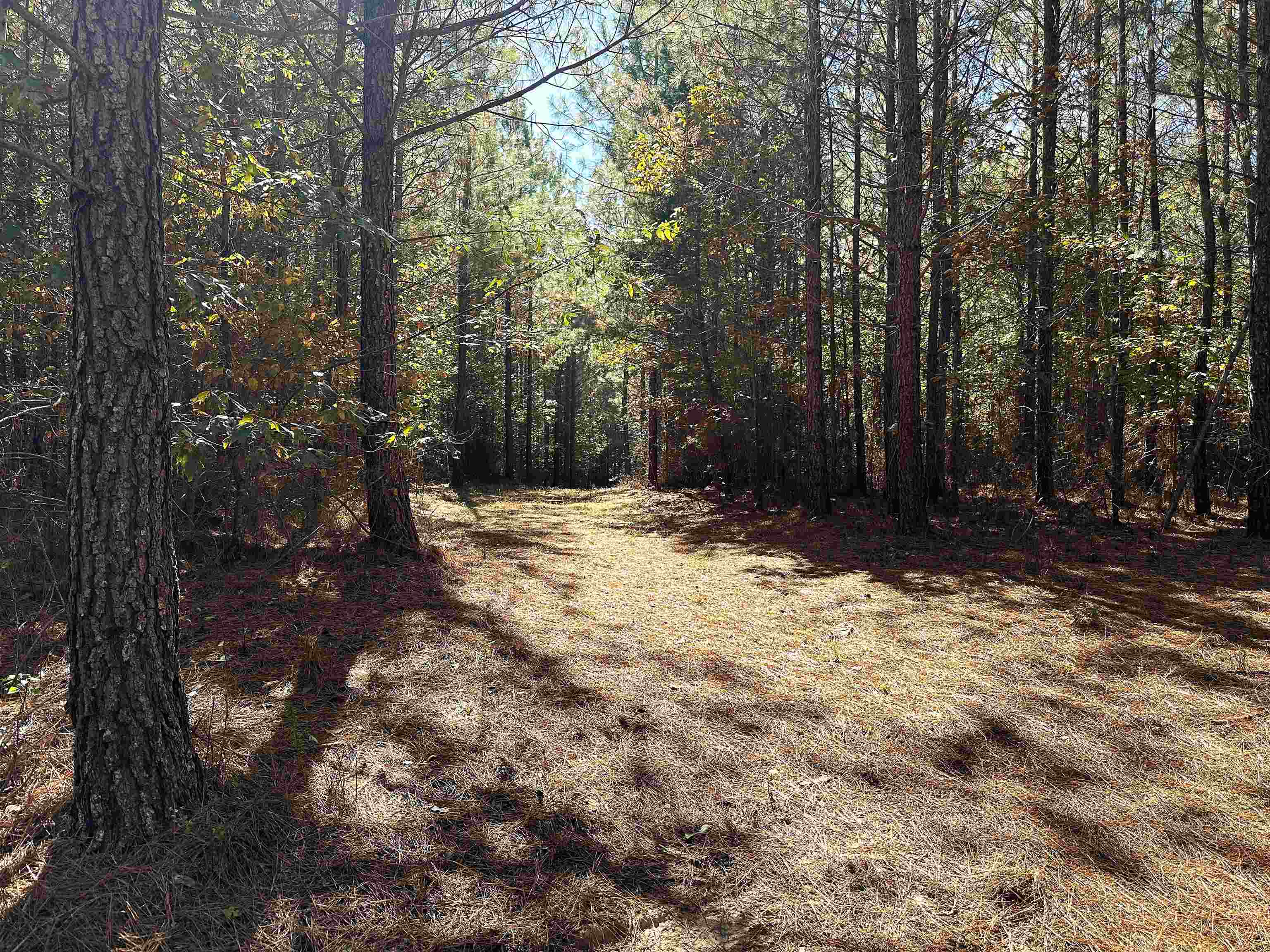 Lot 3 GREEN CREEK RD, SCHUYLER, Virginia 22969, ,Land,Lot 3 GREEN CREEK RD,670316 MLS # 670316 Lot 3 GREEN CREEK RD, SCHUYLER, Virginia 22969, ,Land,Lot 3 GREEN CREEK RD,670316 MLS # 670316