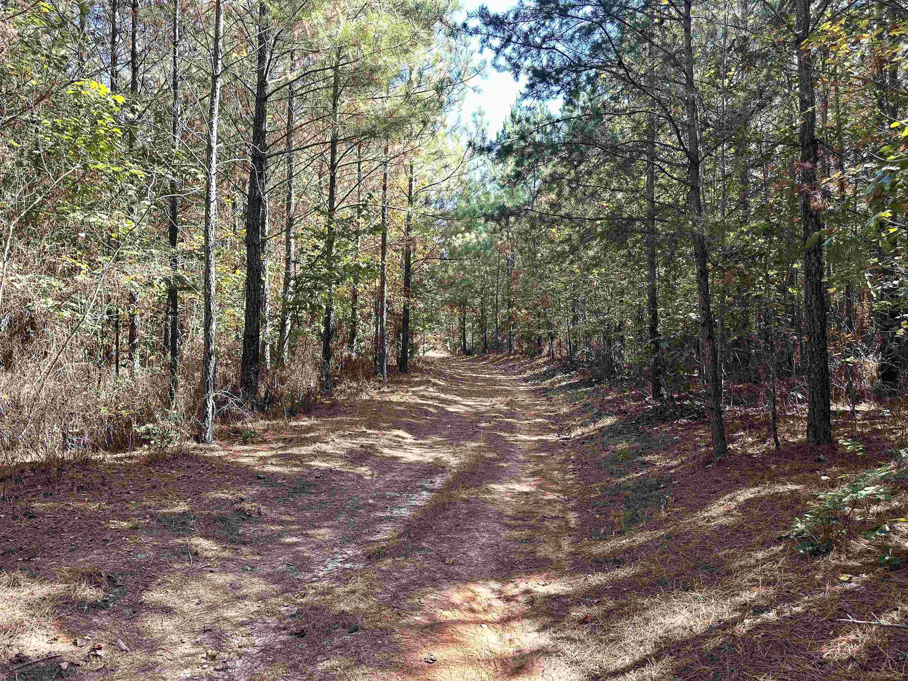 Lot 3 GREEN CREEK RD, SCHUYLER, Virginia 22969, ,Land,Lot 3 GREEN CREEK RD,670316 MLS # 670316 Lot 3 GREEN CREEK RD, SCHUYLER, Virginia 22969, ,Land,Lot 3 GREEN CREEK RD,670316 MLS # 670316