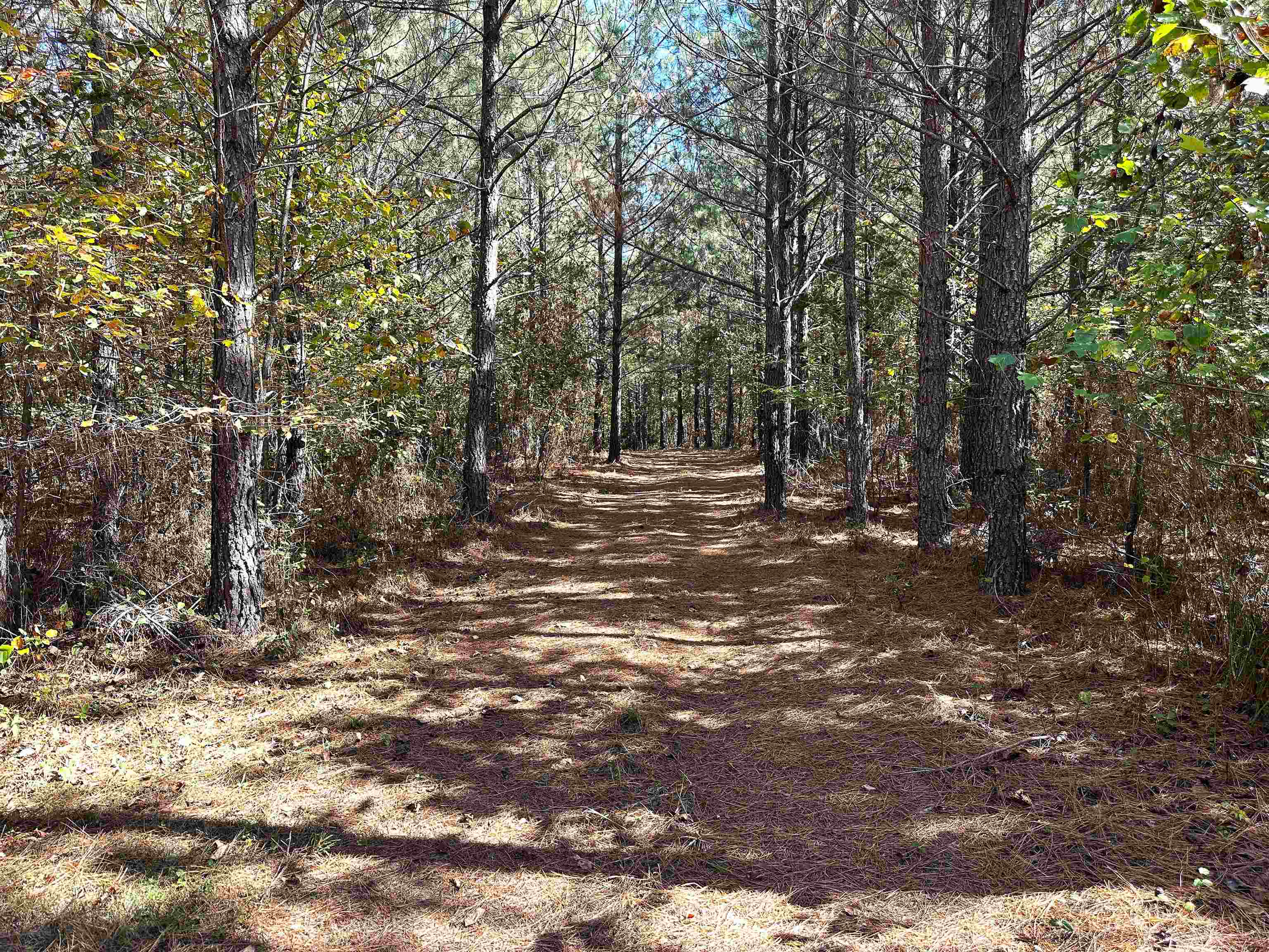 Lot 3 GREEN CREEK RD, SCHUYLER, Virginia 22969, ,Land,Lot 3 GREEN CREEK RD,670316 MLS # 670316 Lot 3 GREEN CREEK RD, SCHUYLER, Virginia 22969, ,Land,Lot 3 GREEN CREEK RD,670316 MLS # 670316