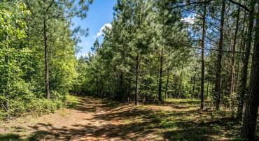 Lot 3 GREEN CREEK RD, SCHUYLER, Virginia 22969, ,Land,Lot 3 GREEN CREEK RD,670316 MLS # 670316