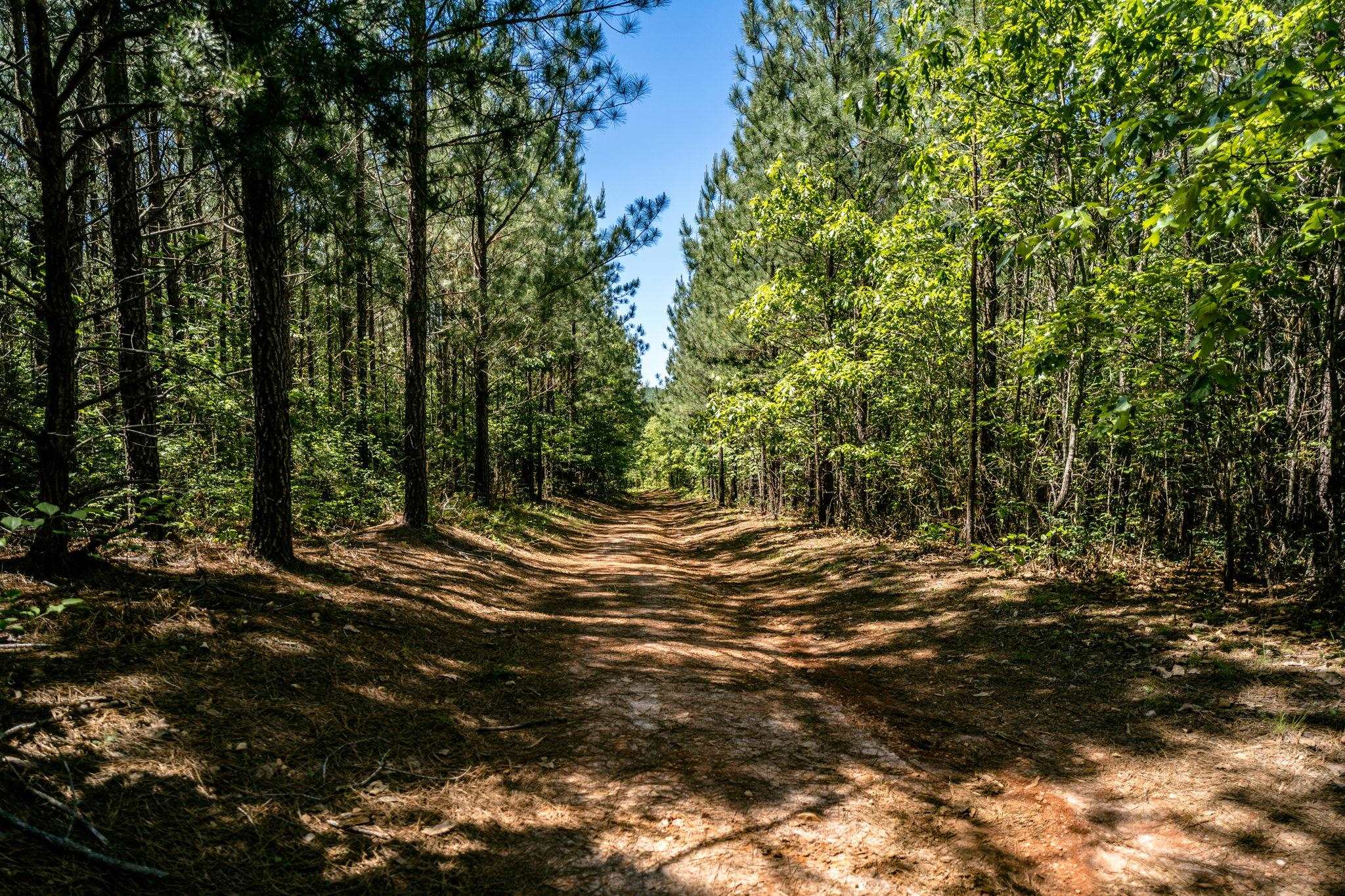 Lot 4 GREEN CREEK RD, SCHUYLER, Virginia 22969, ,Farm,Lot 4 GREEN CREEK RD,670317 MLS # 670317