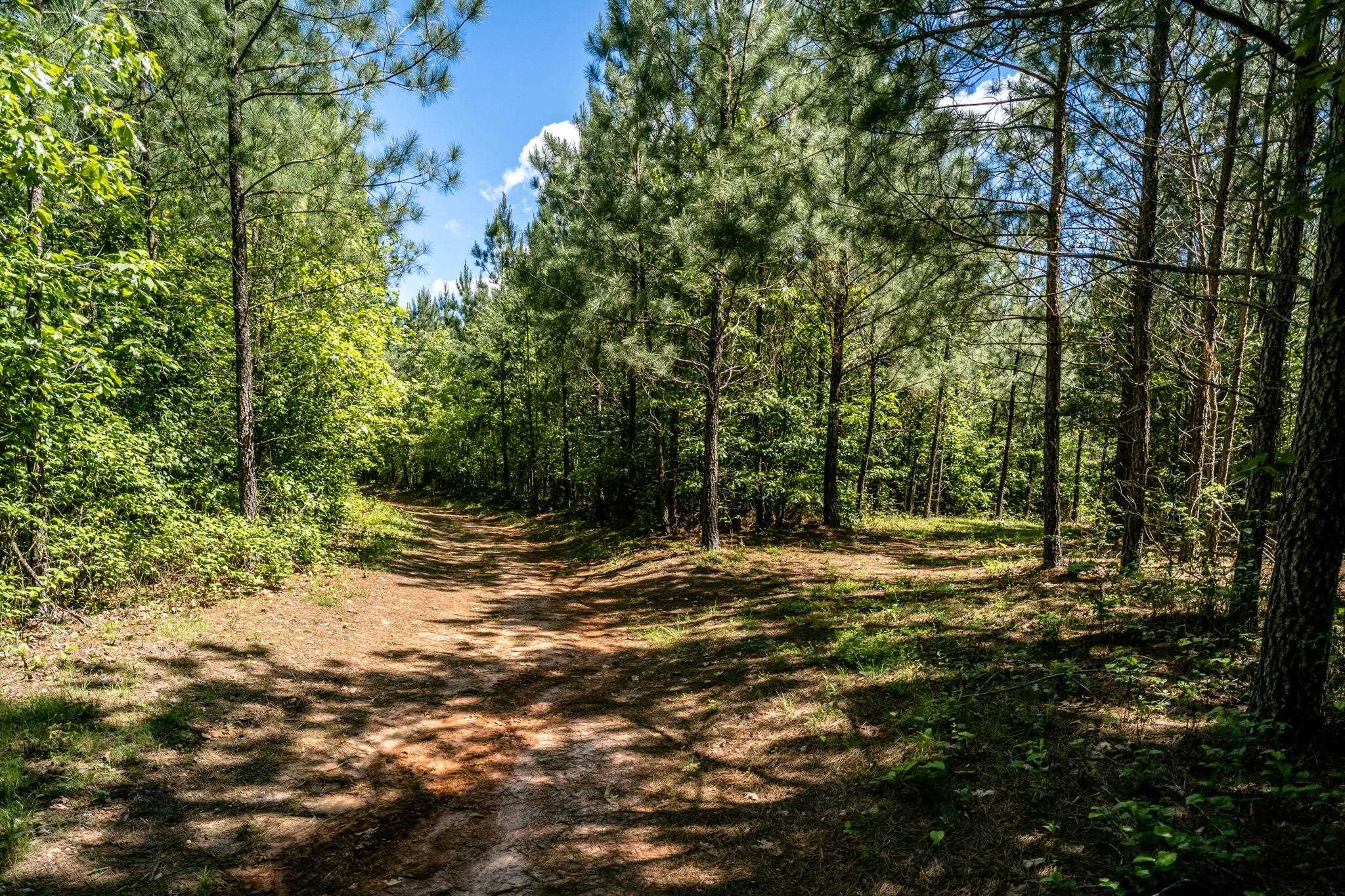 Lot 4 GREEN CREEK RD, SCHUYLER, Virginia 22969, ,Farm,Lot 4 GREEN CREEK RD,670317 MLS # 670317