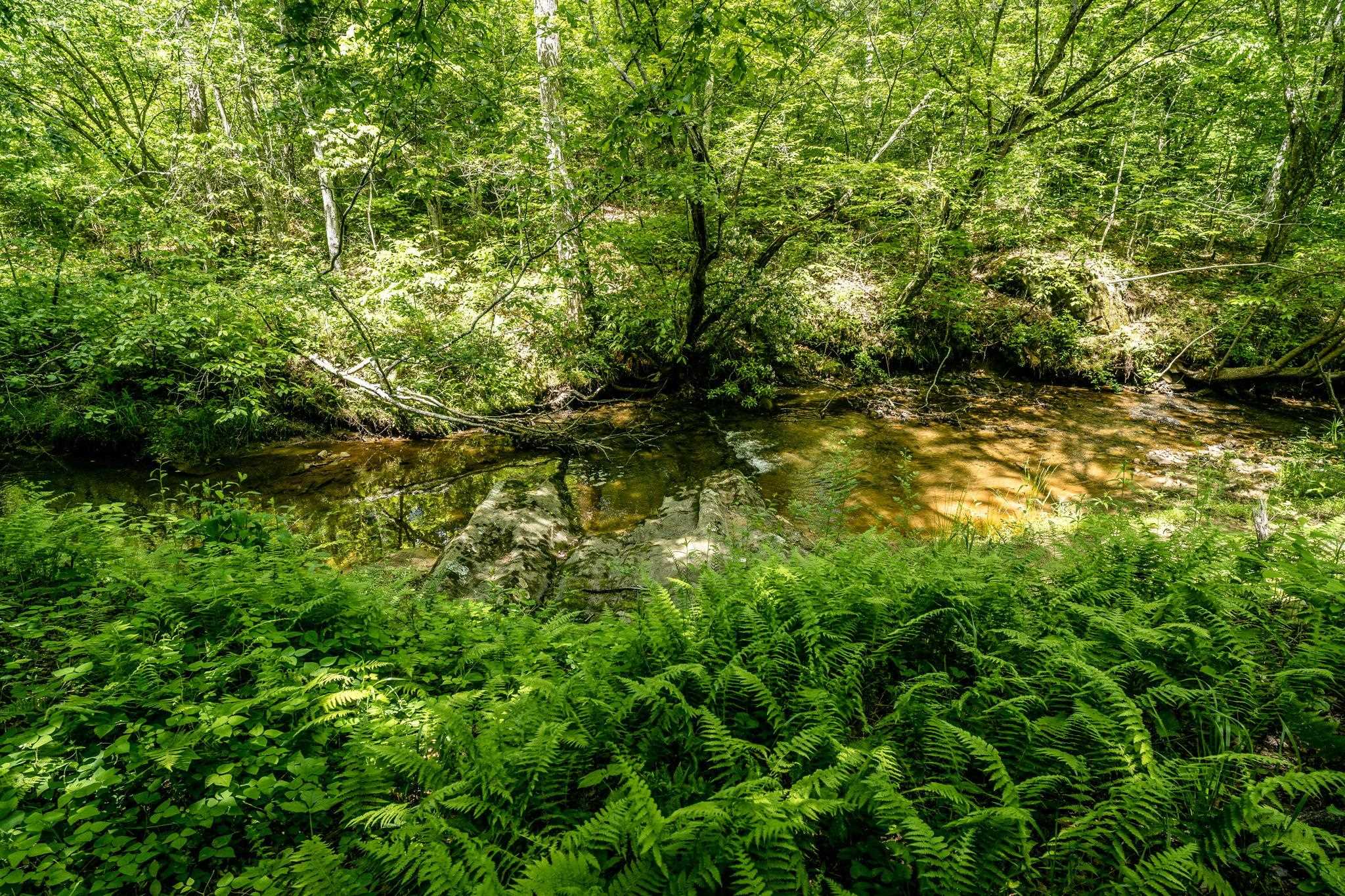 Lot 4 GREEN CREEK RD, SCHUYLER, Virginia 22969, ,Farm,Lot 4 GREEN CREEK RD,670317 MLS # 670317