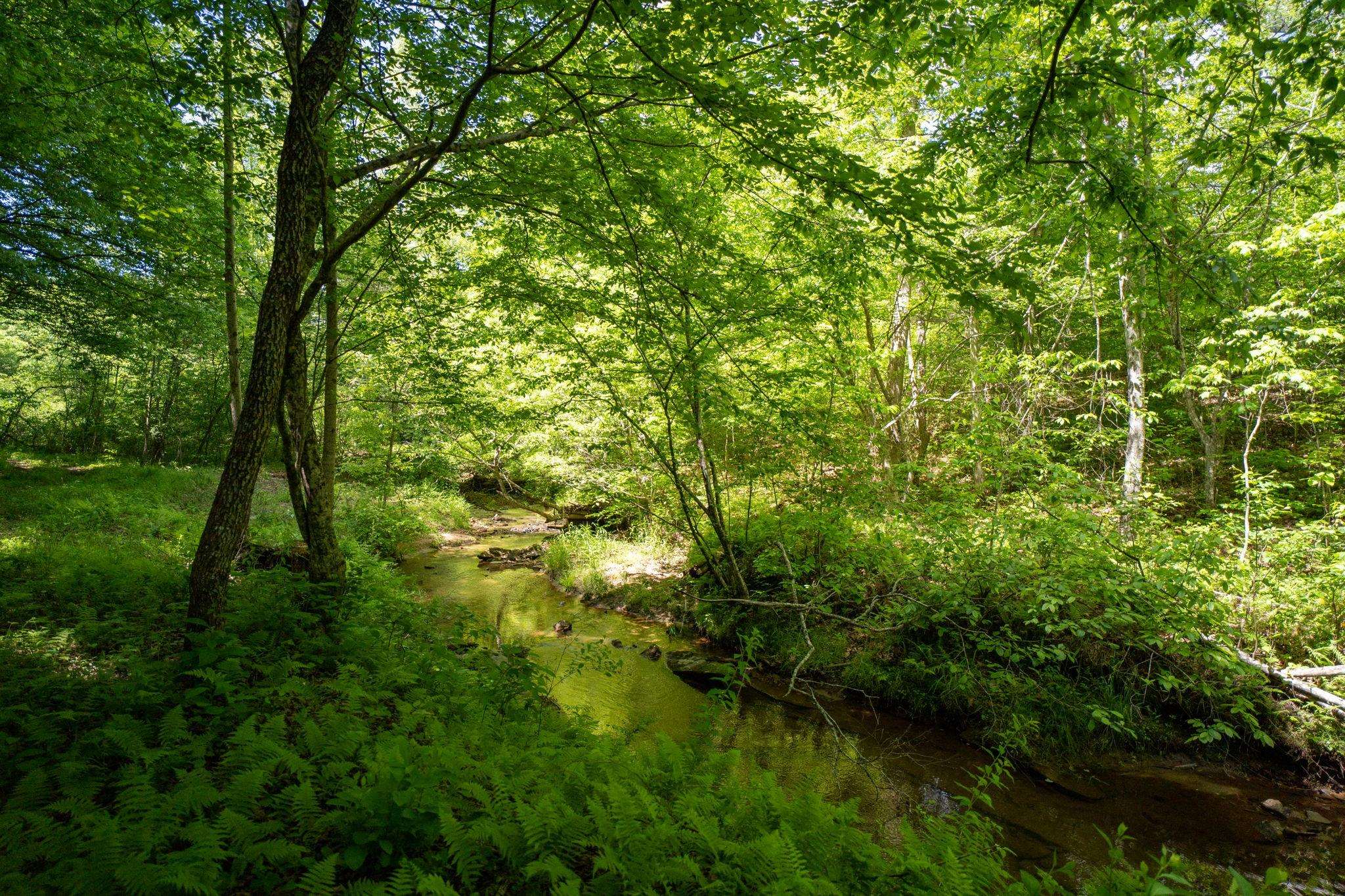 Lot 4 GREEN CREEK RD, SCHUYLER, Virginia 22969, ,Farm,Lot 4 GREEN CREEK RD,670317 MLS # 670317