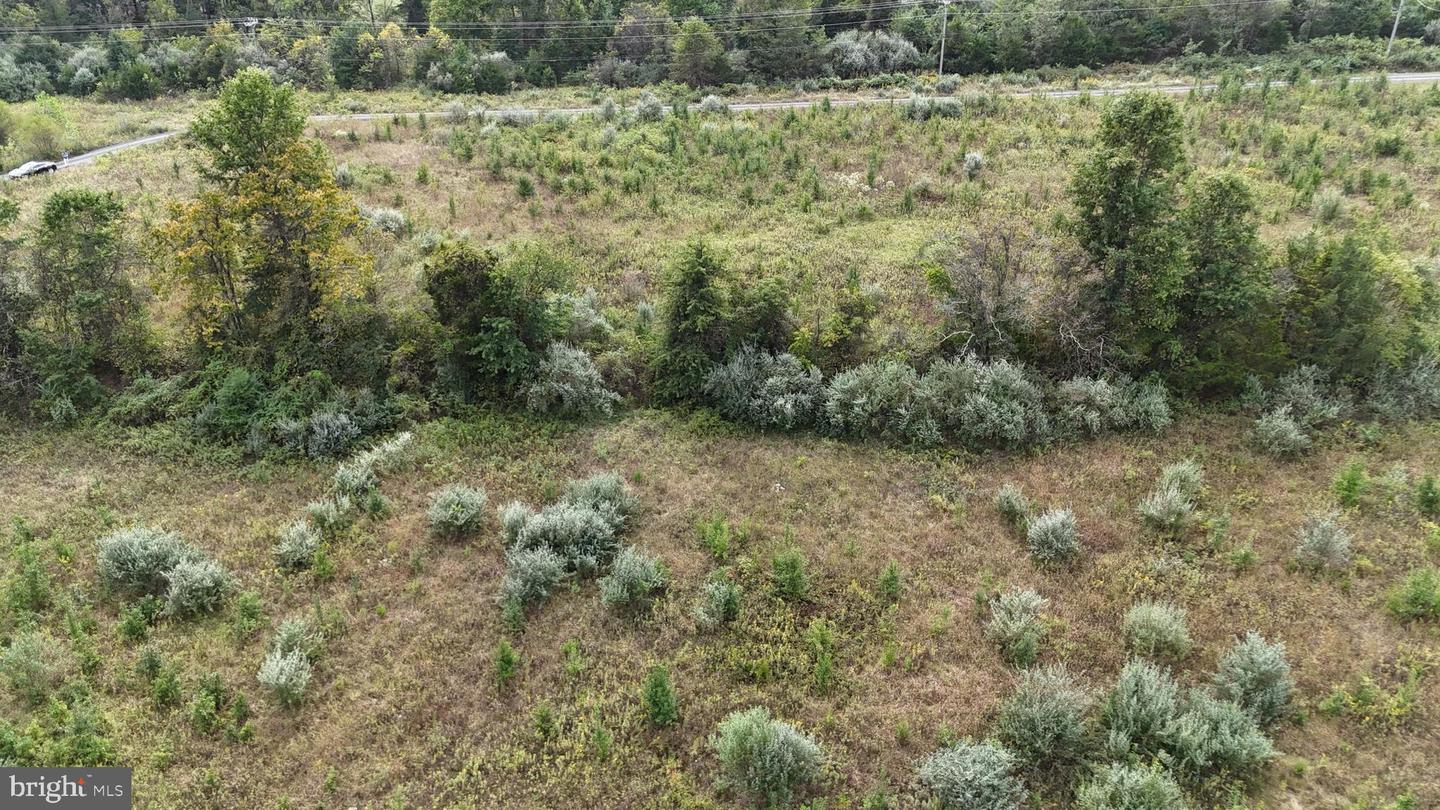 DELTA DIAMOND LANE, LEESBURG, Virginia 20175, ,Land,For sale,DELTA DIAMOND LANE,VALO2107922 MLS # VALO2107922 DELTA DIAMOND LANE, LEESBURG, Virginia 20175, ,Land,For sale,DELTA DIAMOND LANE,VALO2107922 MLS # VALO2107922