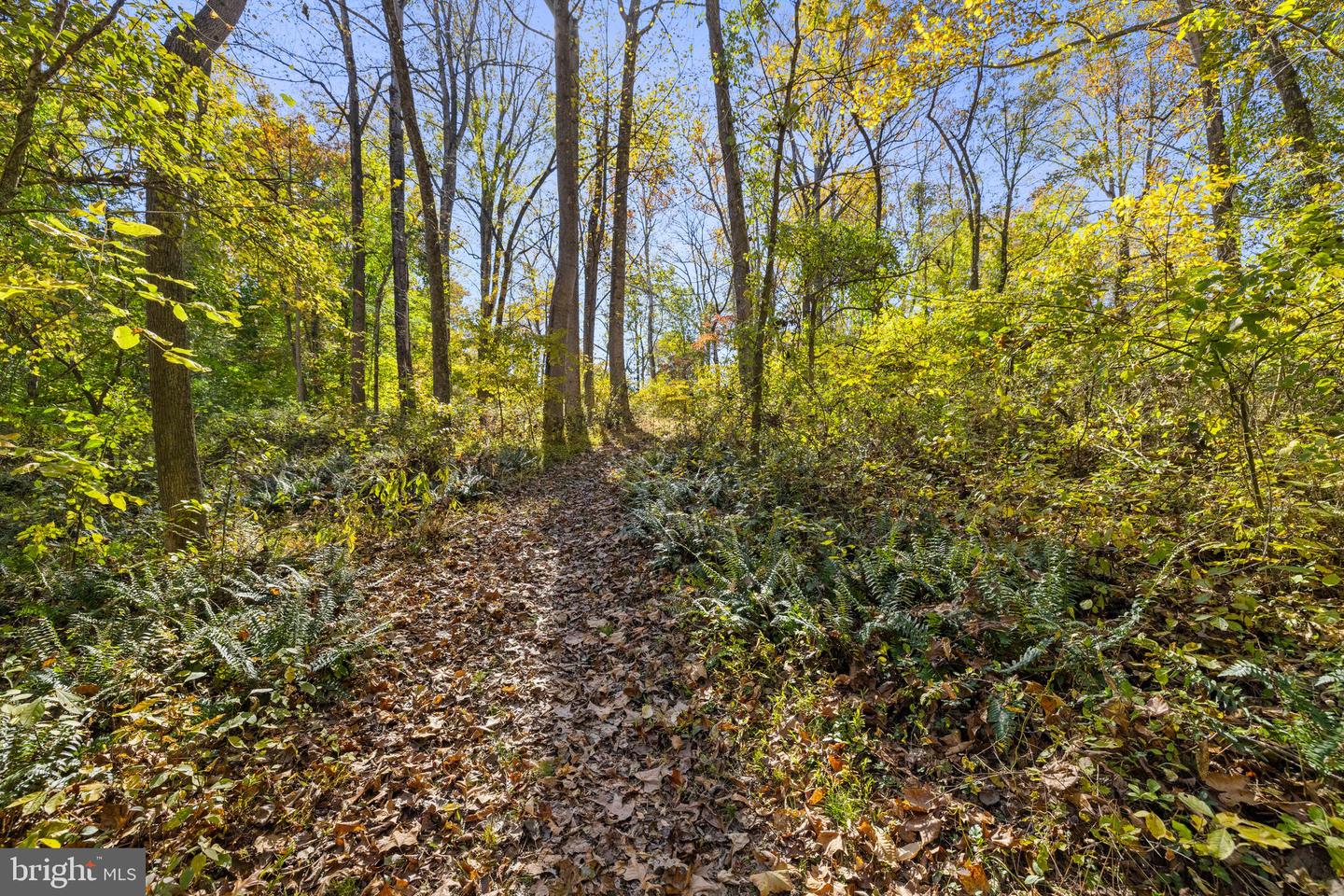 20960 BEAVERDAM BRIDGE RD, MIDDLEBURG, Virginia 20117, ,Land,For sale,20960 BEAVERDAM BRIDGE RD,VALO2108456 MLS # VALO2108456
