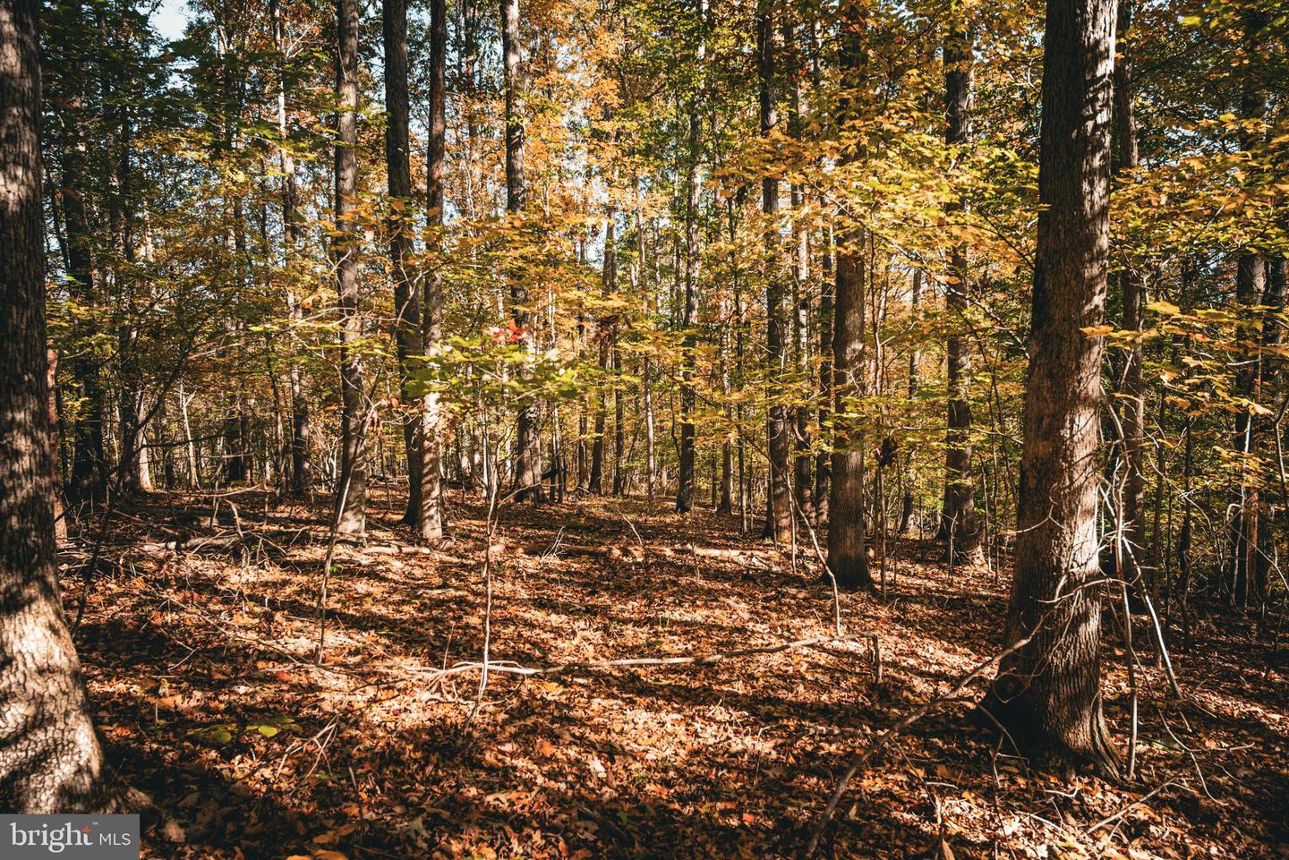 14603 COX MILL RD, GORDONSVILLE, Virginia 22942, ,Farm,For sale,14603 COX MILL RD,VAOR2012628 MLS # VAOR2012628