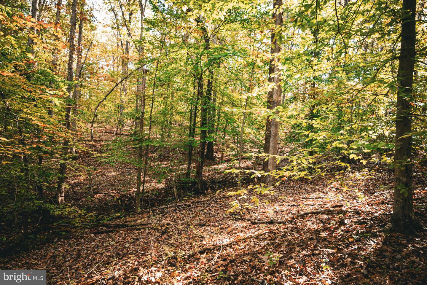 14603 COX MILL RD, GORDONSVILLE, Virginia 22942, ,Farm,For sale,14603 COX MILL RD,VAOR2012628 MLS # VAOR2012628