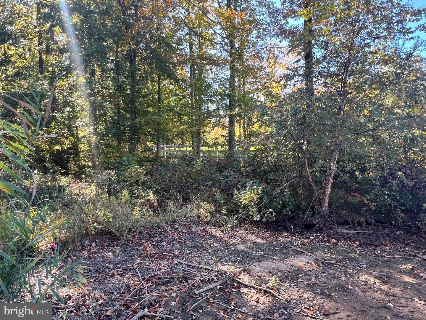 LOT 5 PROMISE LANE, BUMPASS, Virginia 23024, ,Land,For sale,LOT 5 PROMISE LANE,VALA2008766 MLS # VALA2008766