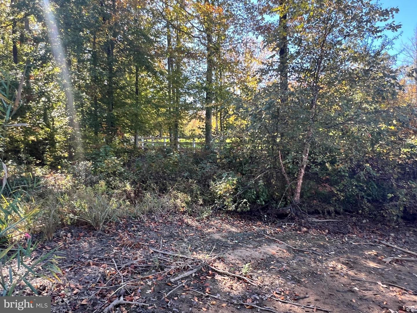 LOT 5 PROMISE LANE, BUMPASS, Virginia 23024, ,Land,For sale,LOT 5 PROMISE LANE,VALA2008766 MLS # VALA2008766