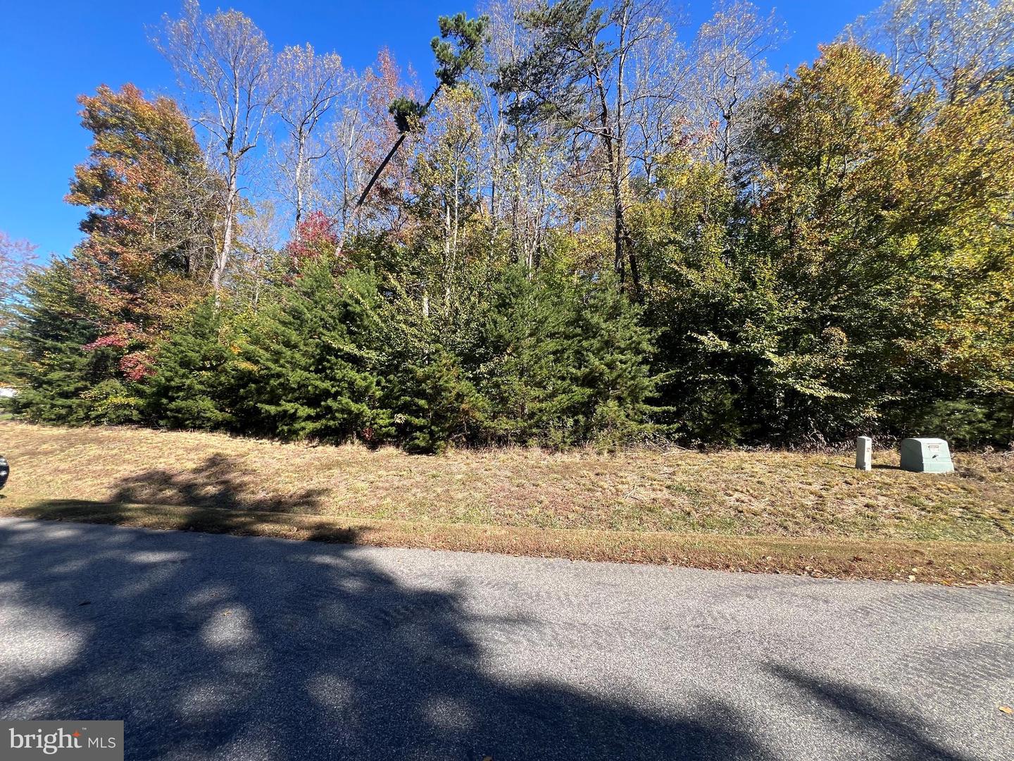 LOT 5 PROMISE LANE, BUMPASS, Virginia 23024, ,Land,For sale,LOT 5 PROMISE LANE,VALA2008766 MLS # VALA2008766