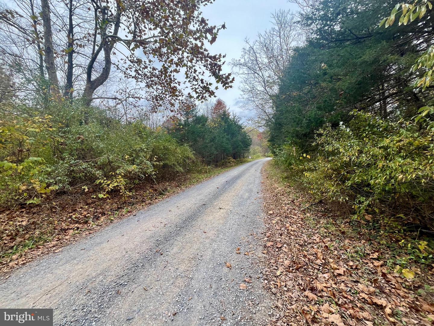 GREENWAY LANE, LURAY, Virginia 22835, ,Land,For sale,GREENWAY LANE,VAPA2005538 MLS # VAPA2005538 GREENWAY LANE, LURAY, Virginia 22835, ,Land,For sale,GREENWAY LANE,VAPA2005538 MLS # VAPA2005538