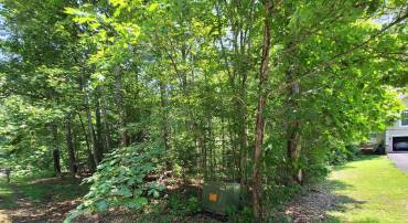 226 SEA CLIFF DR, RUTHER GLEN, Virginia 22546, ,Land,For sale,226 SEA CLIFF DR,VACV2009040 MLS # VACV2009040