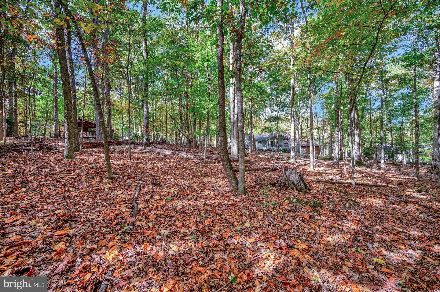 107 GOLD VALLEY RD, LOCUST GROVE, Virginia 22508, ,Land,For sale,107 GOLD VALLEY RD,VAOR2012590 MLS # VAOR2012590