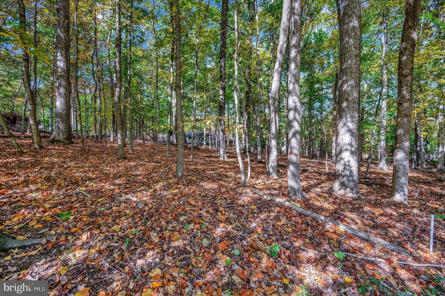 107 GOLD VALLEY RD, LOCUST GROVE, Virginia 22508, ,Land,For sale,107 GOLD VALLEY RD,VAOR2012590 MLS # VAOR2012590