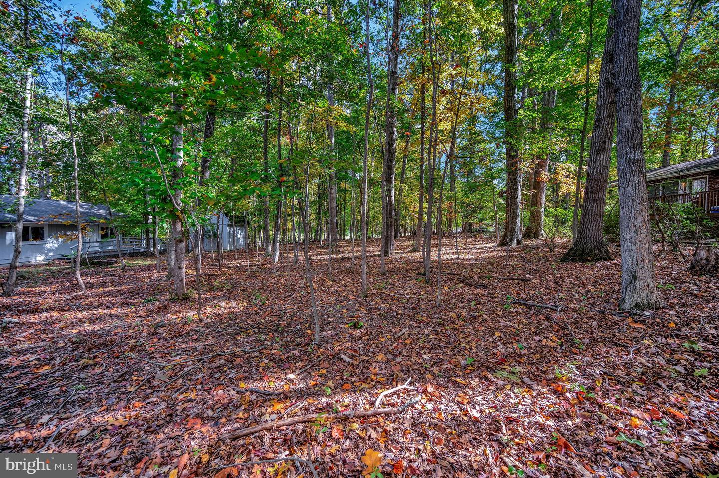 107 GOLD VALLEY RD, LOCUST GROVE, Virginia 22508, ,Land,For sale,107 GOLD VALLEY RD,VAOR2012590 MLS # VAOR2012590