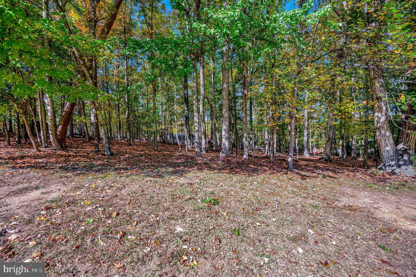 107 GOLD VALLEY RD, LOCUST GROVE, Virginia 22508, ,Land,For sale,107 GOLD VALLEY RD,VAOR2012590 MLS # VAOR2012590