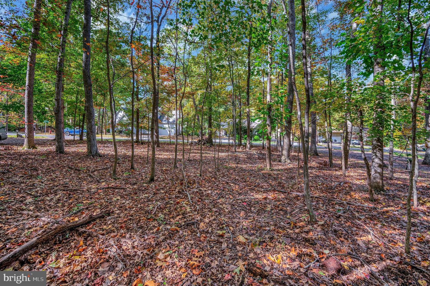 107 GOLD VALLEY RD, LOCUST GROVE, Virginia 22508, ,Land,For sale,107 GOLD VALLEY RD,VAOR2012590 MLS # VAOR2012590