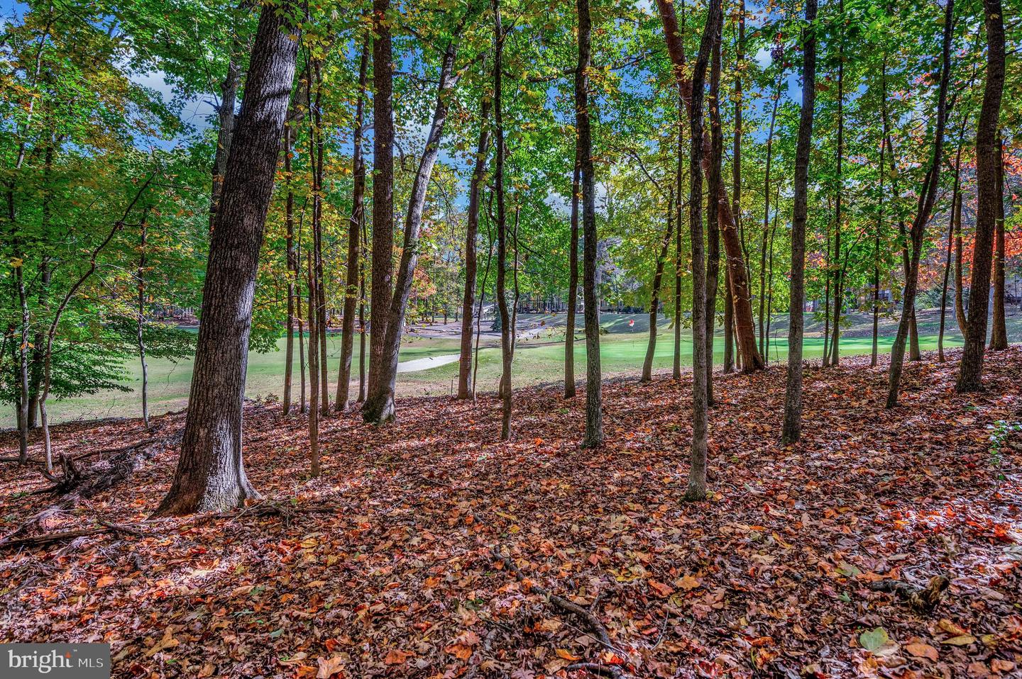 107 GOLD VALLEY RD, LOCUST GROVE, Virginia 22508, ,Land,For sale,107 GOLD VALLEY RD,VAOR2012590 MLS # VAOR2012590
