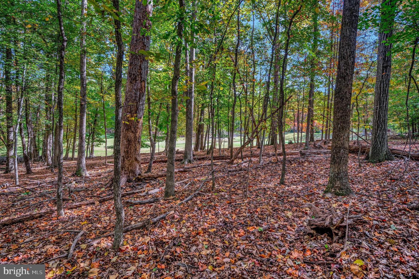 107 GOLD VALLEY RD, LOCUST GROVE, Virginia 22508, ,Land,For sale,107 GOLD VALLEY RD,VAOR2012590 MLS # VAOR2012590