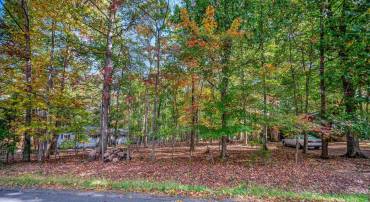 107 GOLD VALLEY RD, LOCUST GROVE, Virginia 22508, ,Land,For sale,107 GOLD VALLEY RD,VAOR2012590 MLS # VAOR2012590