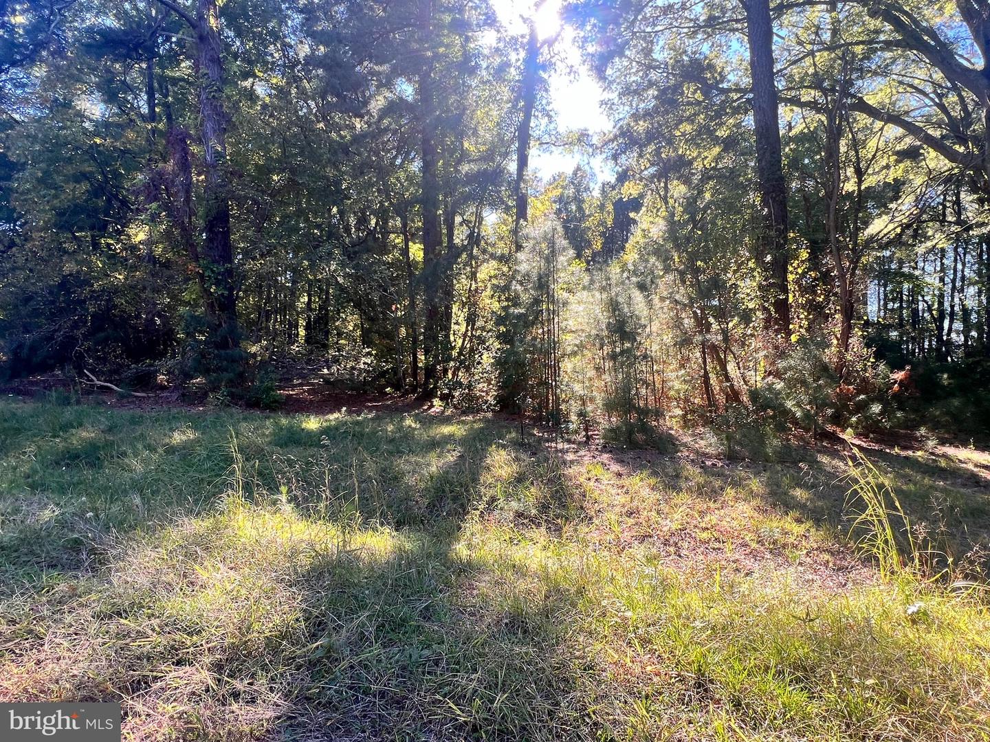 252 LIGHTHOUSE LN, MONTROSS, Virginia 22520, ,Land,For sale,252 LIGHTHOUSE LN,VAWE2009976 MLS # VAWE2009976