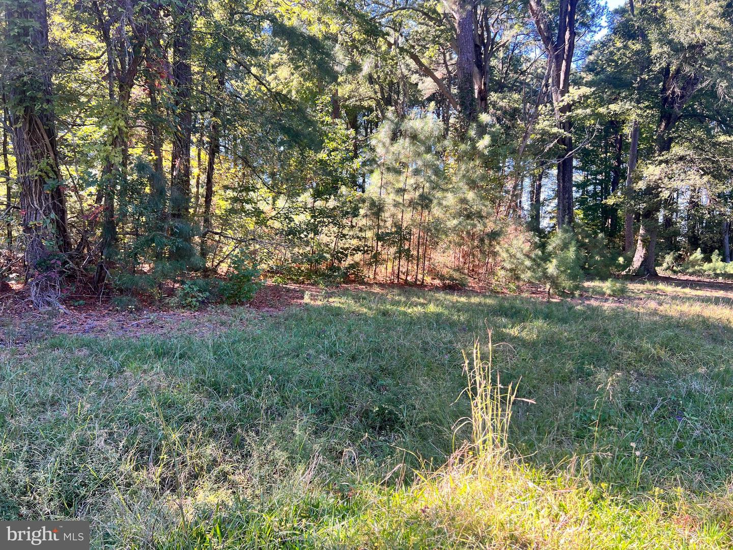 252 LIGHTHOUSE LN, MONTROSS, Virginia 22520, ,Land,For sale,252 LIGHTHOUSE LN,VAWE2009976 MLS # VAWE2009976