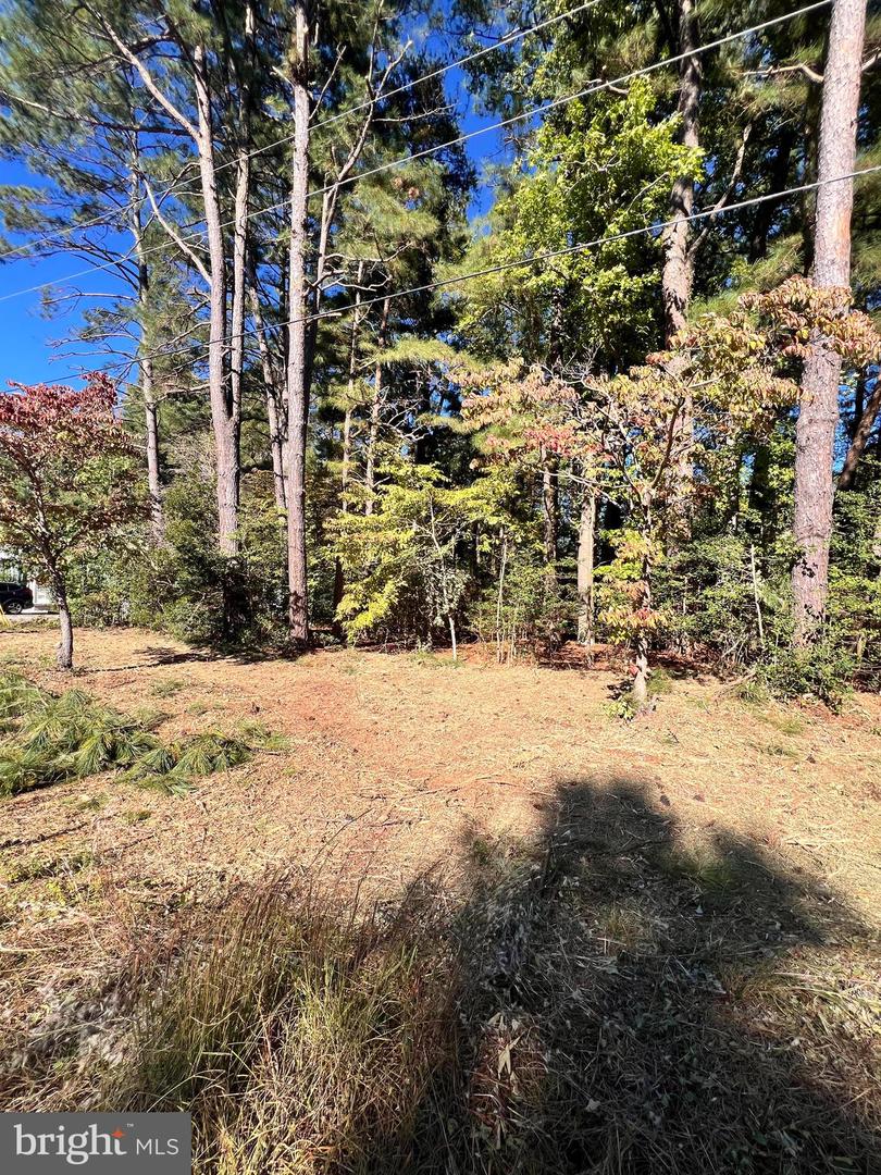 SOUTH GLEBE RD, MONTROSS, Virginia 22520, ,Land,For sale,SOUTH GLEBE RD,VAWE2009980 MLS # VAWE2009980 SOUTH GLEBE RD, MONTROSS, Virginia 22520, ,Land,For sale,SOUTH GLEBE RD,VAWE2009980 MLS # VAWE2009980