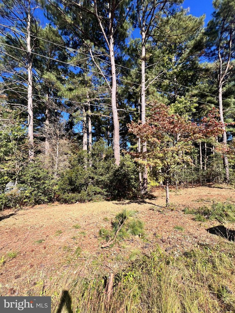 SOUTH GLEBE RD, MONTROSS, Virginia 22520, ,Land,For sale,SOUTH GLEBE RD,VAWE2009980 MLS # VAWE2009980 SOUTH GLEBE RD, MONTROSS, Virginia 22520, ,Land,For sale,SOUTH GLEBE RD,VAWE2009980 MLS # VAWE2009980