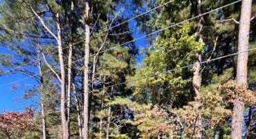 SOUTH GLEBE RD, MONTROSS, Virginia 22520, ,Land,For sale,SOUTH GLEBE RD,VAWE2009980 MLS # VAWE2009980