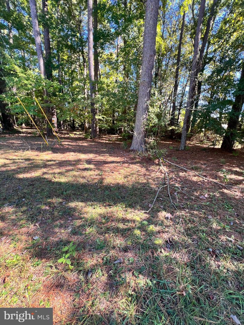 66 WEATHERALL DR, MONTROSS, Virginia 22520, ,Land,For sale,66 WEATHERALL DR,VAWE2009982 MLS # VAWE2009982 66 WEATHERALL DR, MONTROSS, Virginia 22520, ,Land,For sale,66 WEATHERALL DR,VAWE2009982 MLS # VAWE2009982