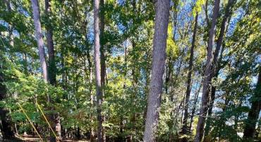 66 WEATHERALL DR, MONTROSS, Virginia 22520, ,Land,For sale,66 WEATHERALL DR,VAWE2009982 MLS # VAWE2009982