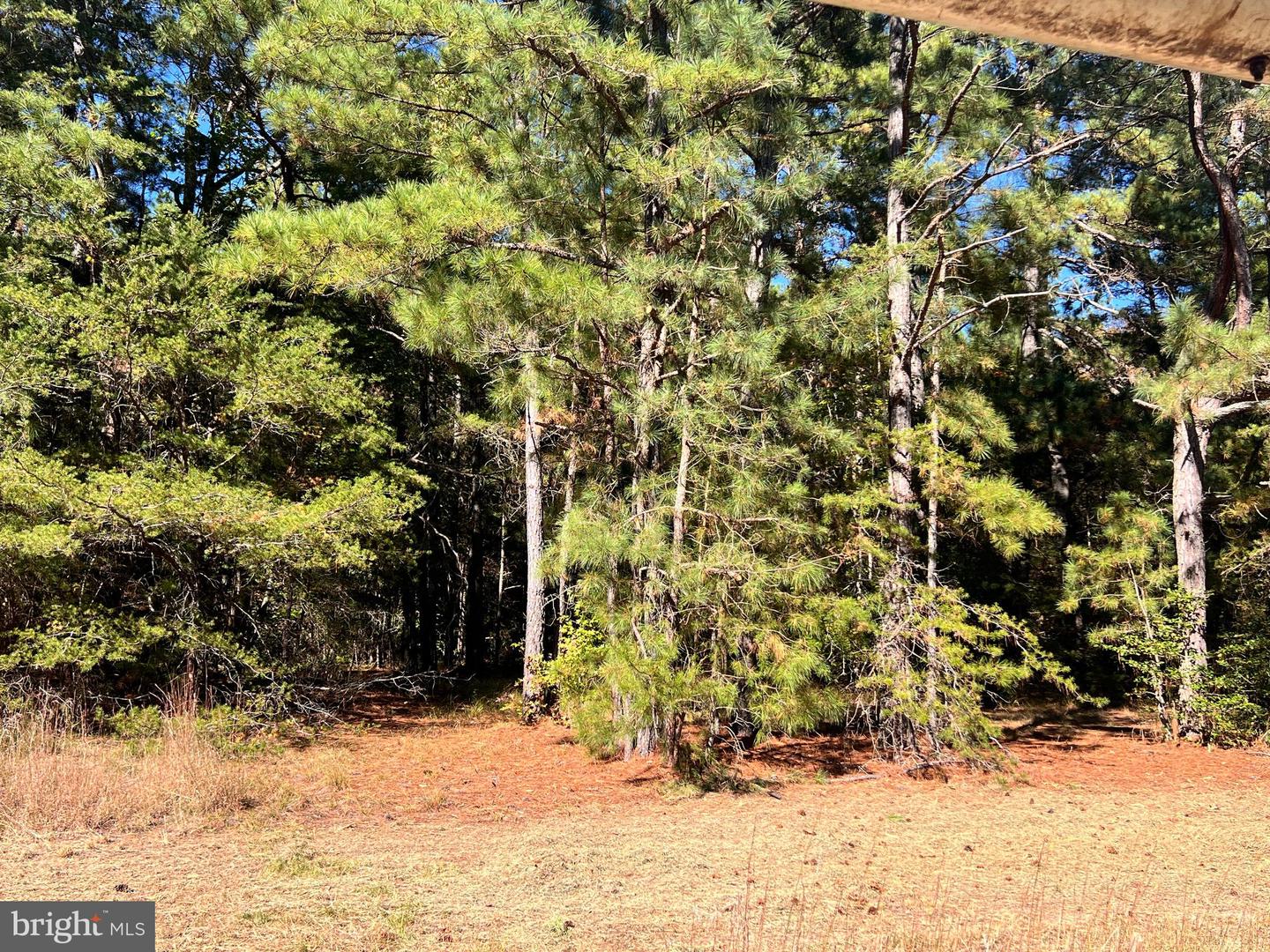 121 N GLEBE RD, MONTROSS, Virginia 22520, ,Land,For sale,121 N GLEBE RD,VAWE2009984 MLS # VAWE2009984 121 N GLEBE RD, MONTROSS, Virginia 22520, ,Land,For sale,121 N GLEBE RD,VAWE2009984 MLS # VAWE2009984