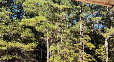 121 N GLEBE RD, MONTROSS, Virginia 22520, ,Land,For sale,121 N GLEBE RD,VAWE2009984 MLS # VAWE2009984