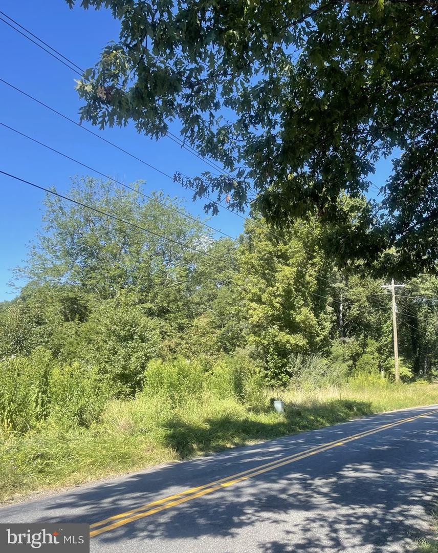 GOLD DALE RD, LOCUST GROVE, Virginia 22508, ,Land,For sale,GOLD DALE RD,VAOR2012618 MLS # VAOR2012618