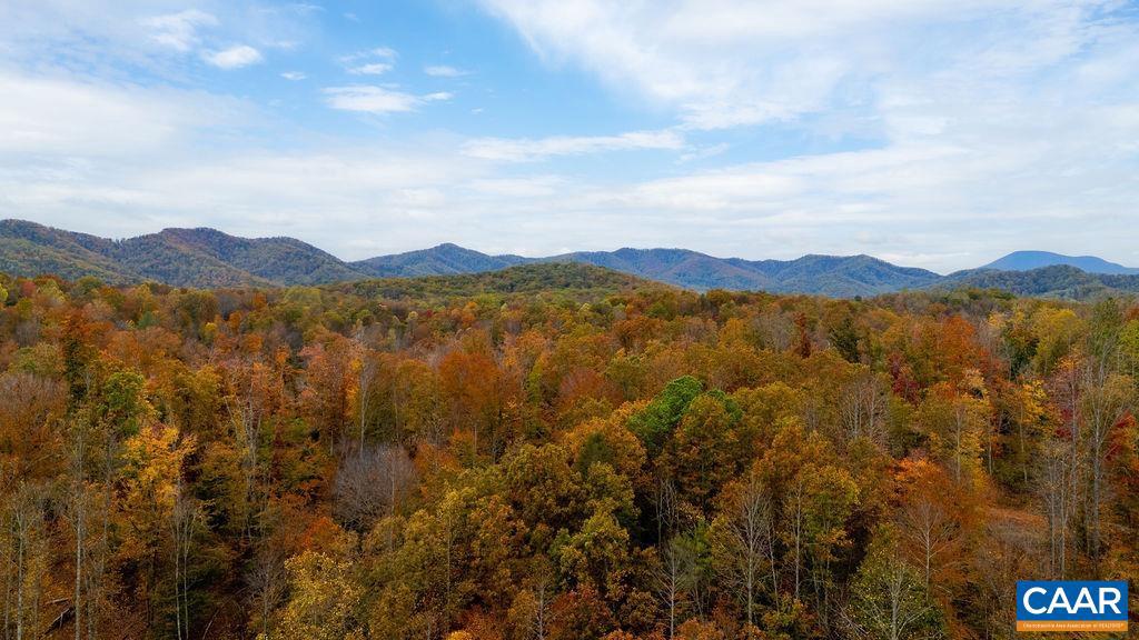 0 ADIAL RD #13, FABER, Virginia 22938, ,Land,For sale,0 ADIAL RD #13,670327 MLS # 670327