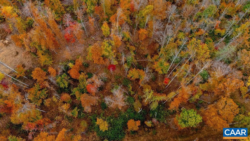 0 ADIAL RD #13, FABER, Virginia 22938, ,Land,For sale,0 ADIAL RD #13,670327 MLS # 670327