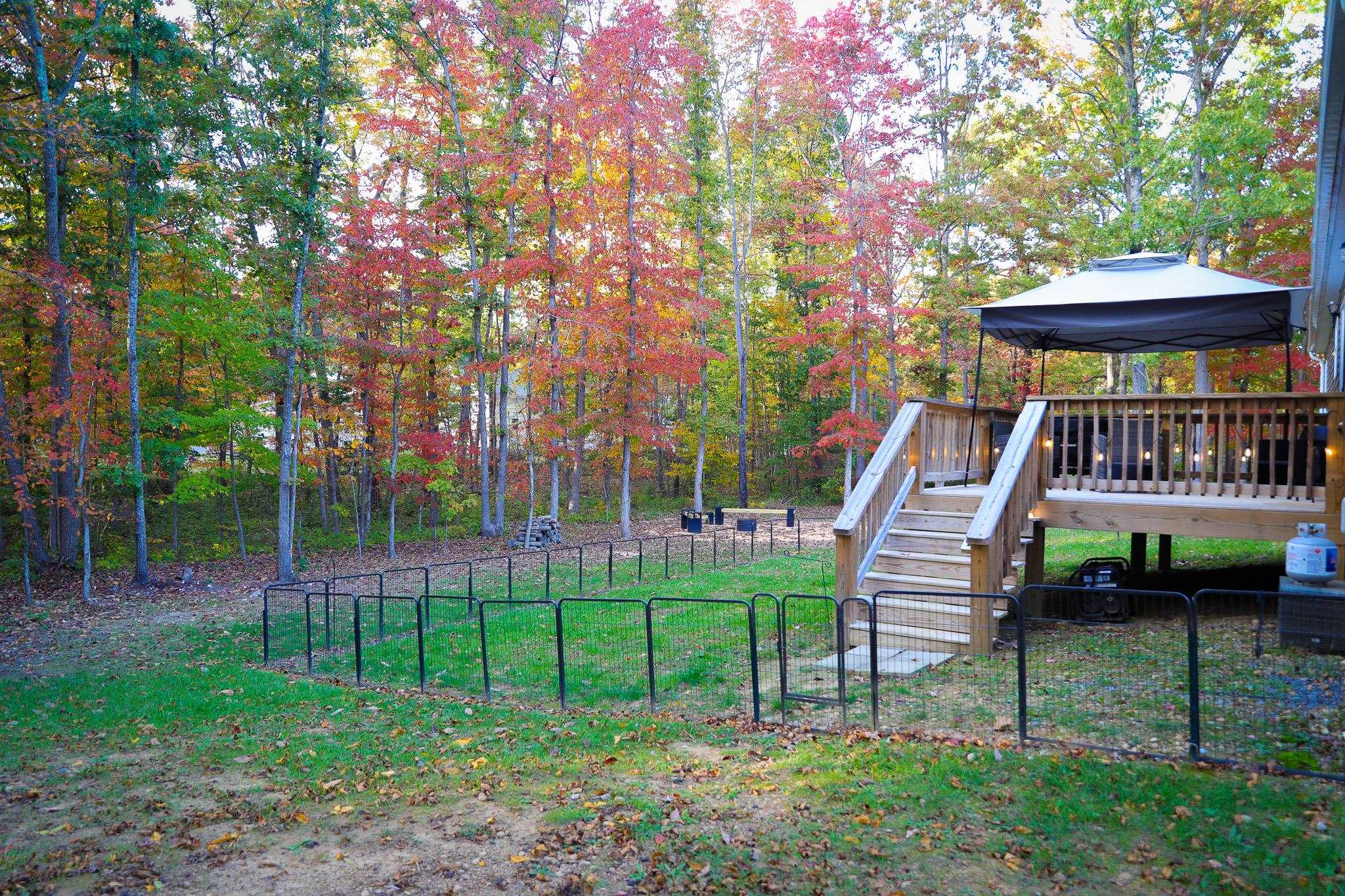 31 BIG BIRD LN, CRIMORA, Virginia 24431, 4 Bedrooms Bedrooms, ,2 BathroomsBathrooms,Residential,31 BIG BIRD LN,670321 MLS # 670321