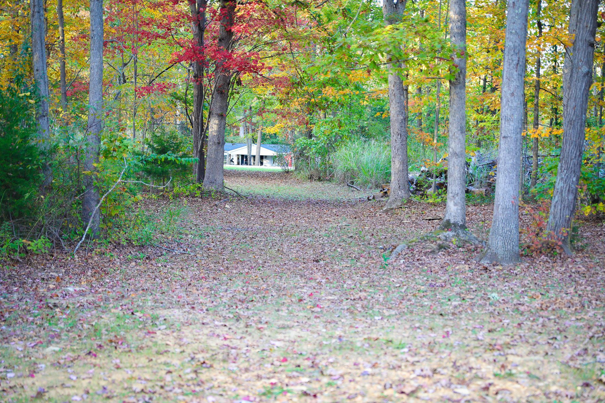 31 BIG BIRD LN, CRIMORA, Virginia 24431, 4 Bedrooms Bedrooms, ,2 BathroomsBathrooms,Residential,31 BIG BIRD LN,670321 MLS # 670321