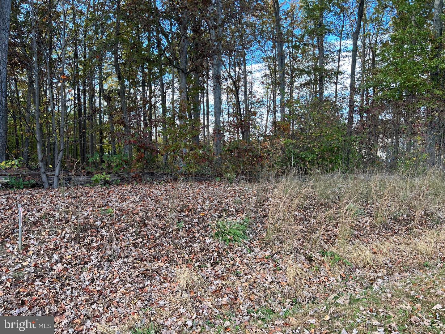 LOT 8 RAINBOW RIDGE, BUMPASS, Virginia 23024, ,Land,For sale,LOT 8 RAINBOW RIDGE,VALA2008764 MLS # VALA2008764
