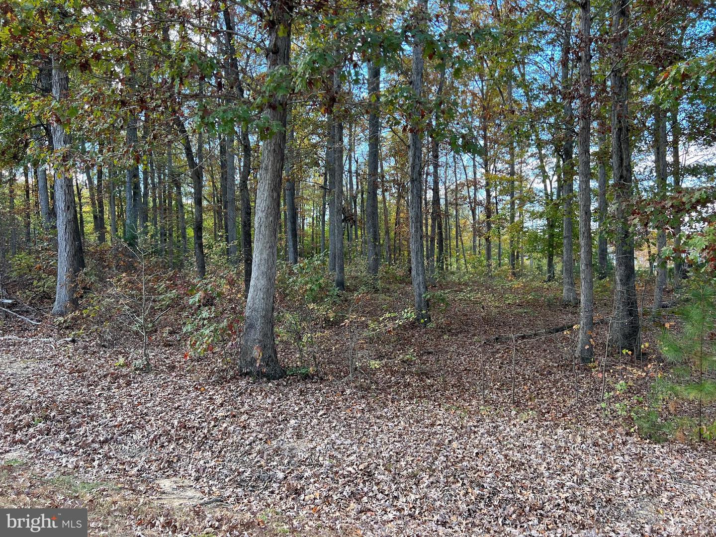 LOT 8 RAINBOW RIDGE, BUMPASS, Virginia 23024, ,Land,For sale,LOT 8 RAINBOW RIDGE,VALA2008764 MLS # VALA2008764