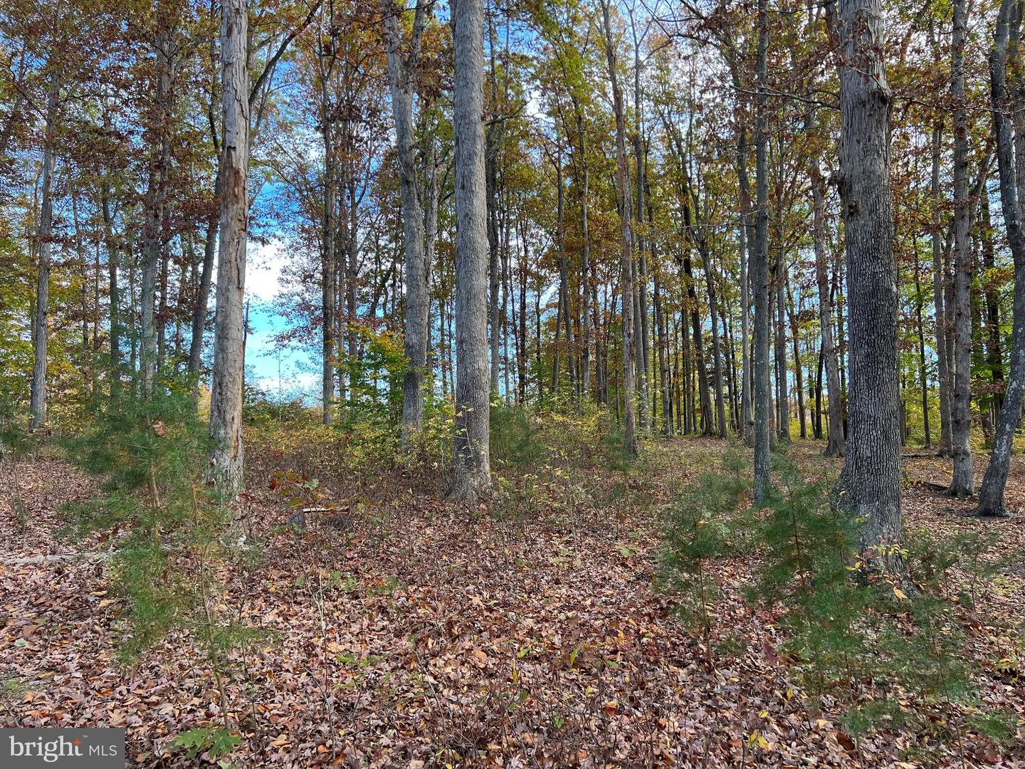 LOT 8 RAINBOW RIDGE, BUMPASS, Virginia 23024, ,Land,For sale,LOT 8 RAINBOW RIDGE,VALA2008764 MLS # VALA2008764