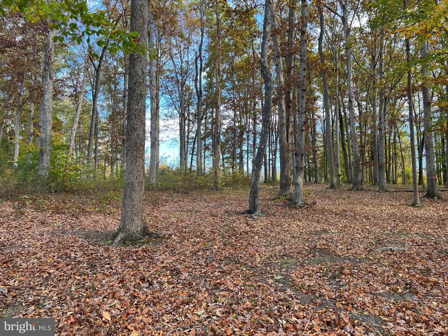 LOT 8 RAINBOW RIDGE, BUMPASS, Virginia 23024, ,Land,For sale,LOT 8 RAINBOW RIDGE,VALA2008764 MLS # VALA2008764