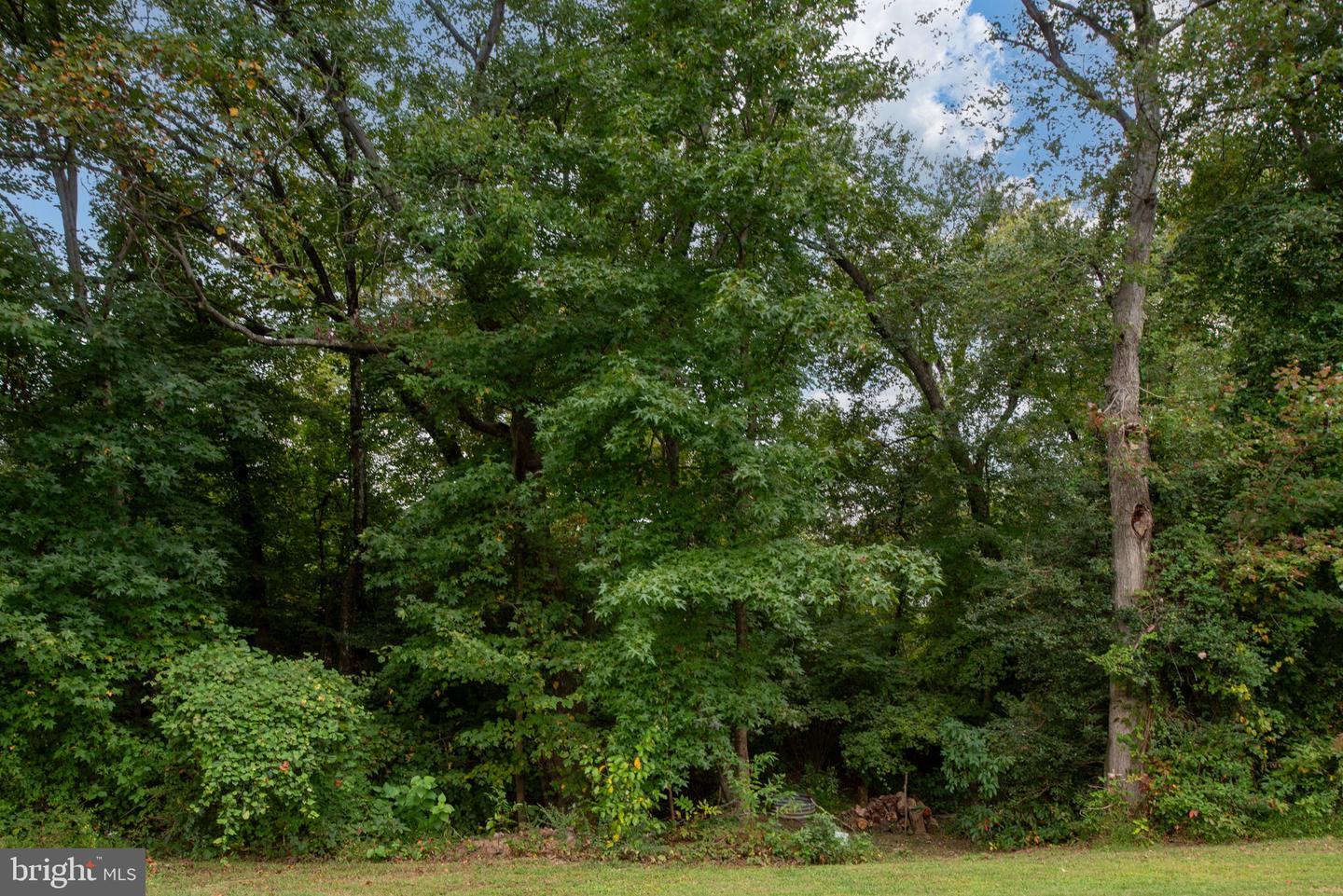 15 SAINT PATRICK ST, FREDERICKSBURG, Virginia 22407, 4 Bedrooms Bedrooms, 7 Rooms Rooms,2 BathroomsBathrooms,Residential,For sale,15 SAINT PATRICK ST,VASP2036466 MLS # VASP2036466