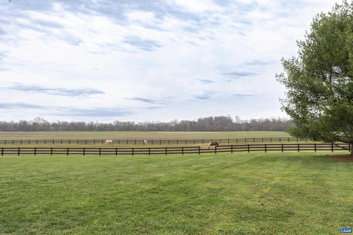23501 GREENVILLE RD, CULPEPER, Virginia 22701, 5 Bedrooms Bedrooms, ,3 BathroomsBathrooms,Residential,For sale,23501 GREENVILLE RD,650903 MLS # 650903 23501 GREENVILLE RD, CULPEPER, Virginia 22701, 5 Bedrooms Bedrooms, ,3 BathroomsBathrooms,Residential,For sale,23501 GREENVILLE RD,650903 MLS # 650903