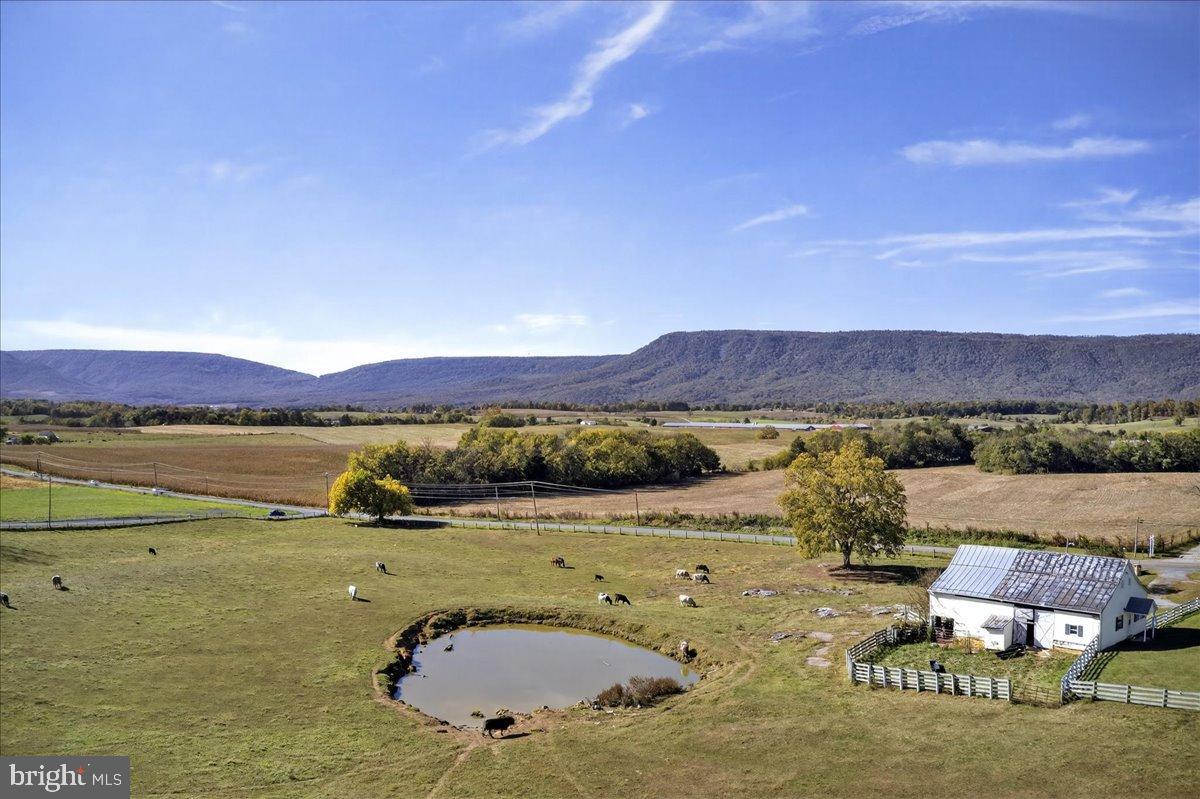 239 MT CARMEL RD, LURAY, Virginia 22835, 5 Bedrooms Bedrooms, ,3 BathroomsBathrooms,Farm,For sale,239 MT CARMEL RD,VAPA2005526 MLS # VAPA2005526 239 MT CARMEL RD, LURAY, Virginia 22835, 5 Bedrooms Bedrooms, ,3 BathroomsBathrooms,Farm,For sale,239 MT CARMEL RD,VAPA2005526 MLS # VAPA2005526