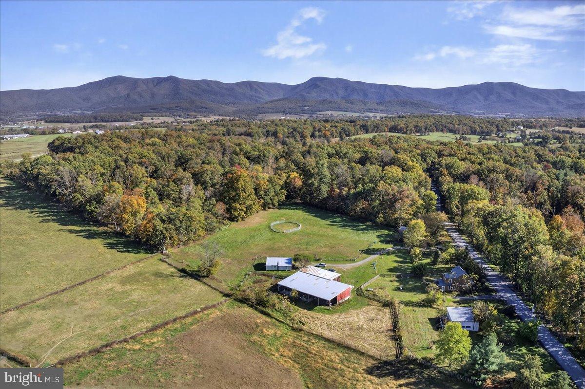 239 MT CARMEL RD, LURAY, Virginia 22835, 5 Bedrooms Bedrooms, ,3 BathroomsBathrooms,Farm,For sale,239 MT CARMEL RD,VAPA2005526 MLS # VAPA2005526 239 MT CARMEL RD, LURAY, Virginia 22835, 5 Bedrooms Bedrooms, ,3 BathroomsBathrooms,Farm,For sale,239 MT CARMEL RD,VAPA2005526 MLS # VAPA2005526