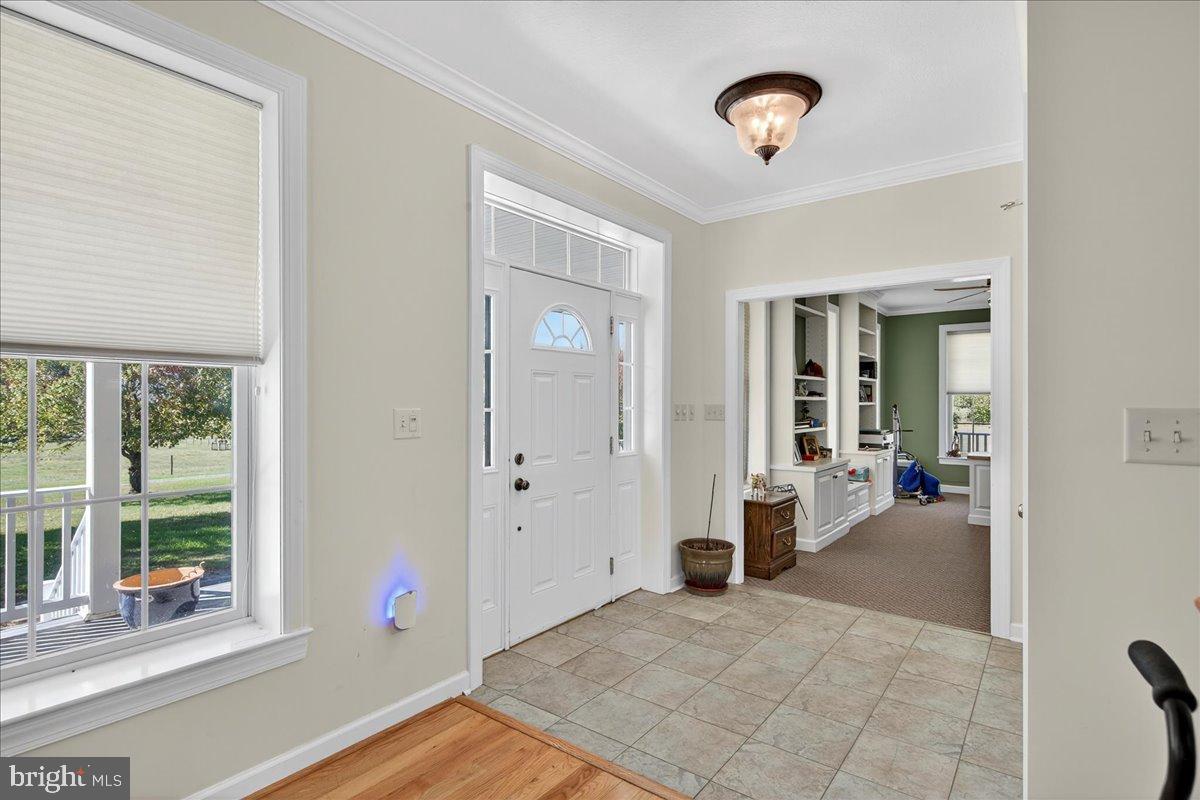 239 MT CARMEL RD, LURAY, Virginia 22835, 5 Bedrooms Bedrooms, ,3 BathroomsBathrooms,Farm,For sale,239 MT CARMEL RD,VAPA2005526 MLS # VAPA2005526 239 MT CARMEL RD, LURAY, Virginia 22835, 5 Bedrooms Bedrooms, ,3 BathroomsBathrooms,Farm,For sale,239 MT CARMEL RD,VAPA2005526 MLS # VAPA2005526
