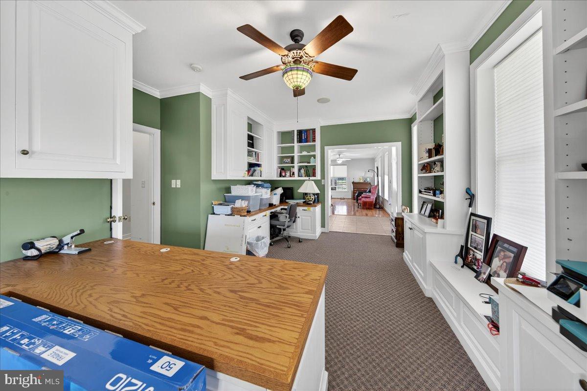 239 MT CARMEL RD, LURAY, Virginia 22835, 5 Bedrooms Bedrooms, ,3 BathroomsBathrooms,Farm,For sale,239 MT CARMEL RD,VAPA2005526 MLS # VAPA2005526 239 MT CARMEL RD, LURAY, Virginia 22835, 5 Bedrooms Bedrooms, ,3 BathroomsBathrooms,Farm,For sale,239 MT CARMEL RD,VAPA2005526 MLS # VAPA2005526